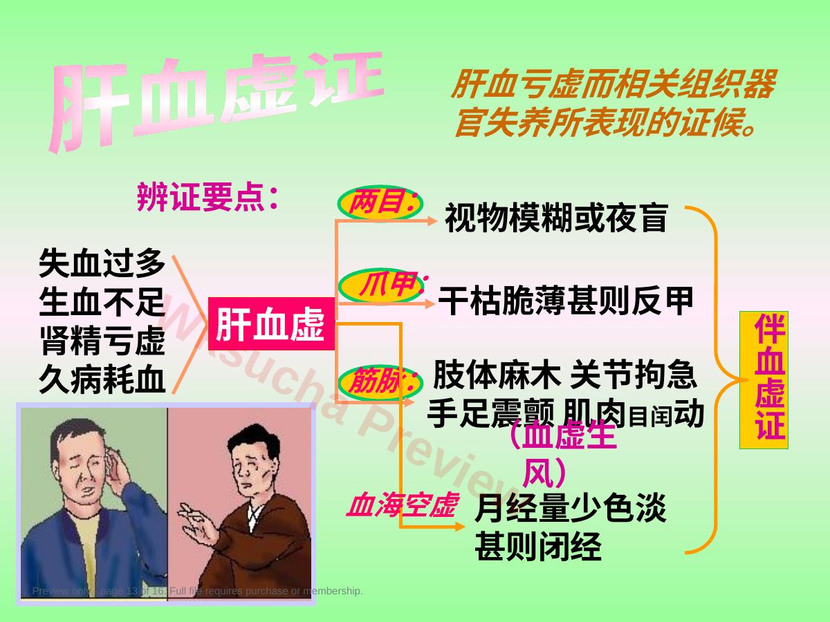 预览第 13 页