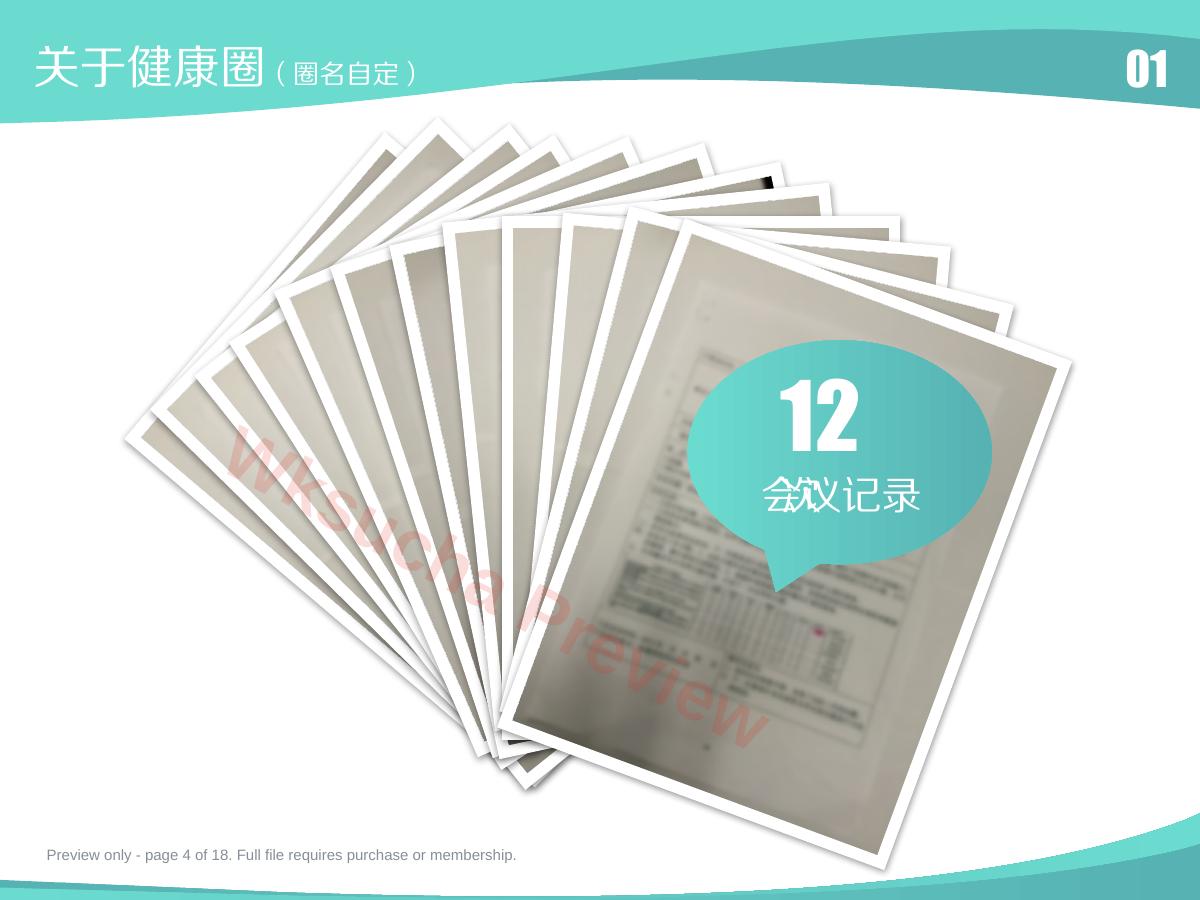 预览第 4 页