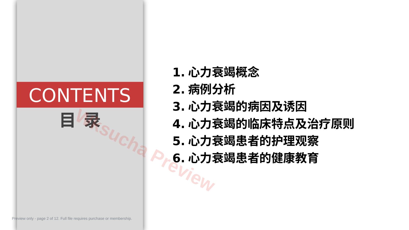 预览第 2 页