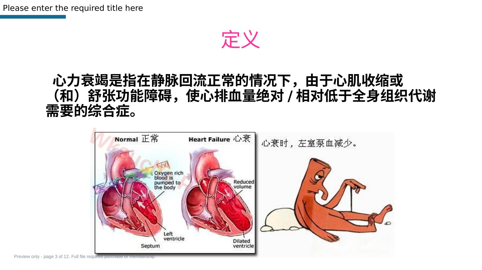 预览第 3 页