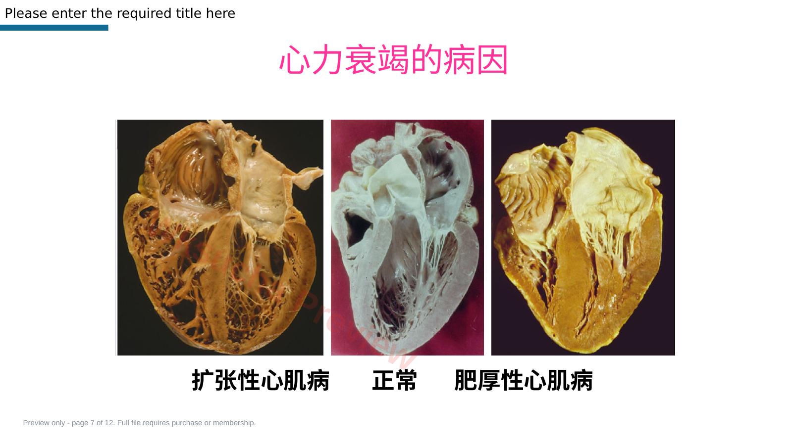 预览第 7 页