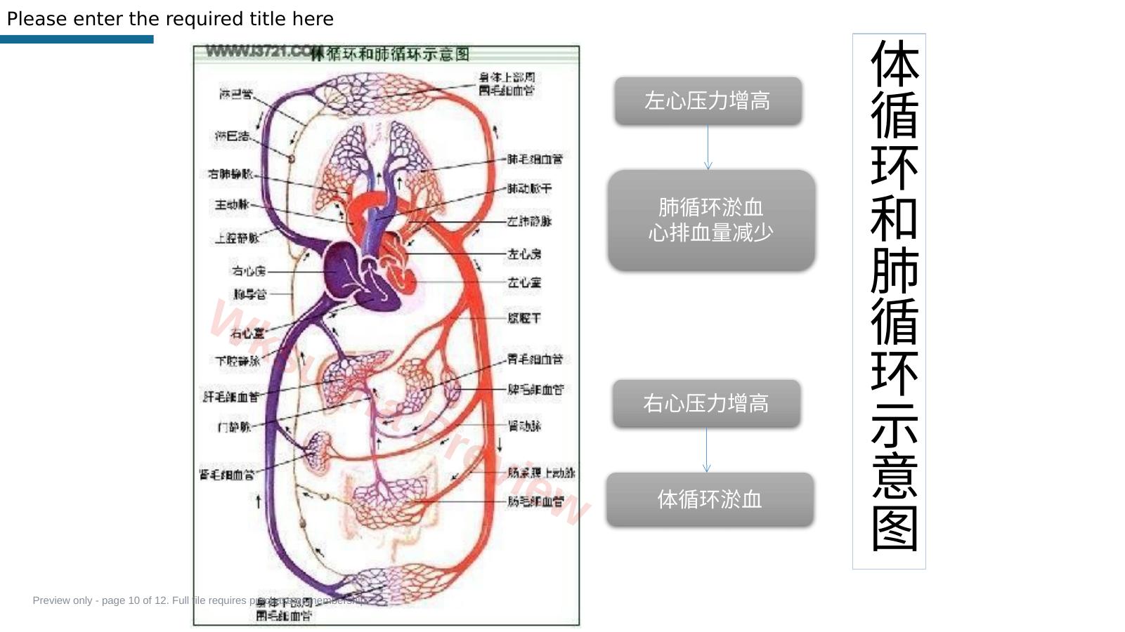 预览第 10 页