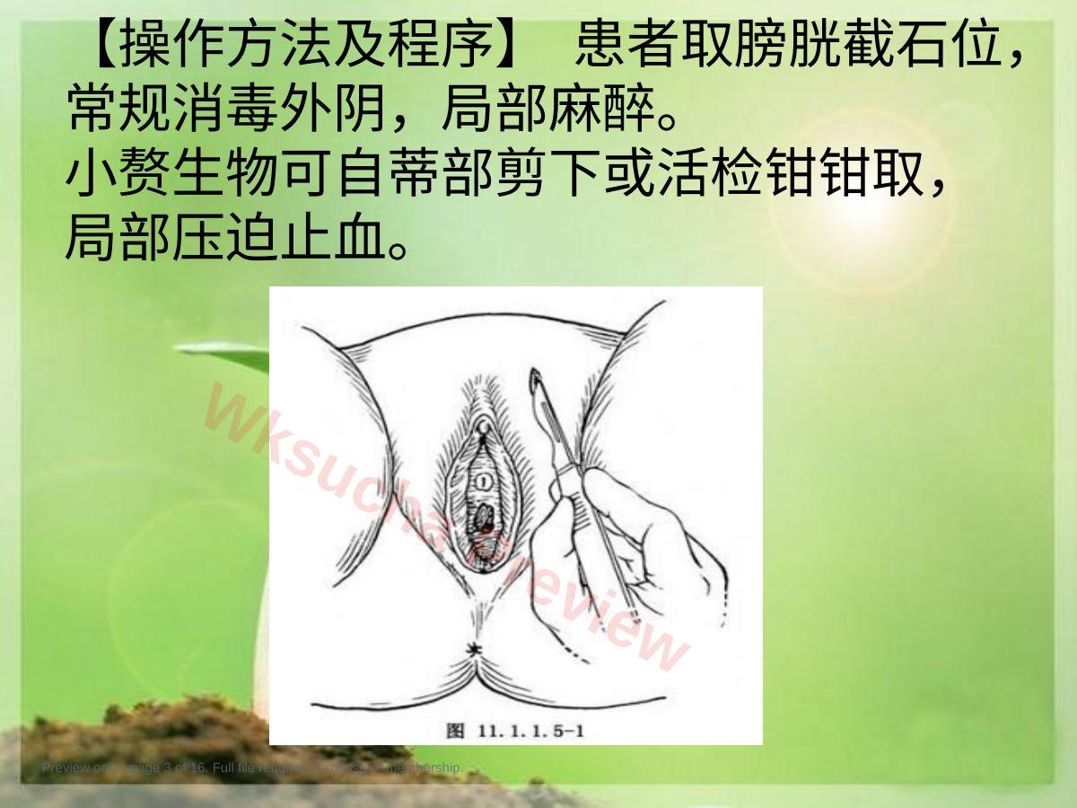 预览第 3 页