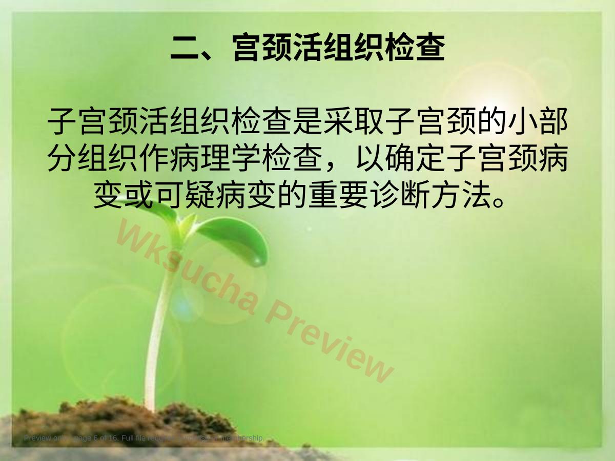 预览第 6 页