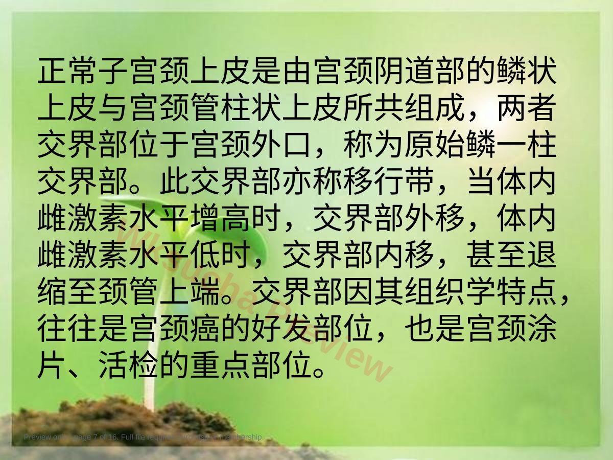 预览第 7 页