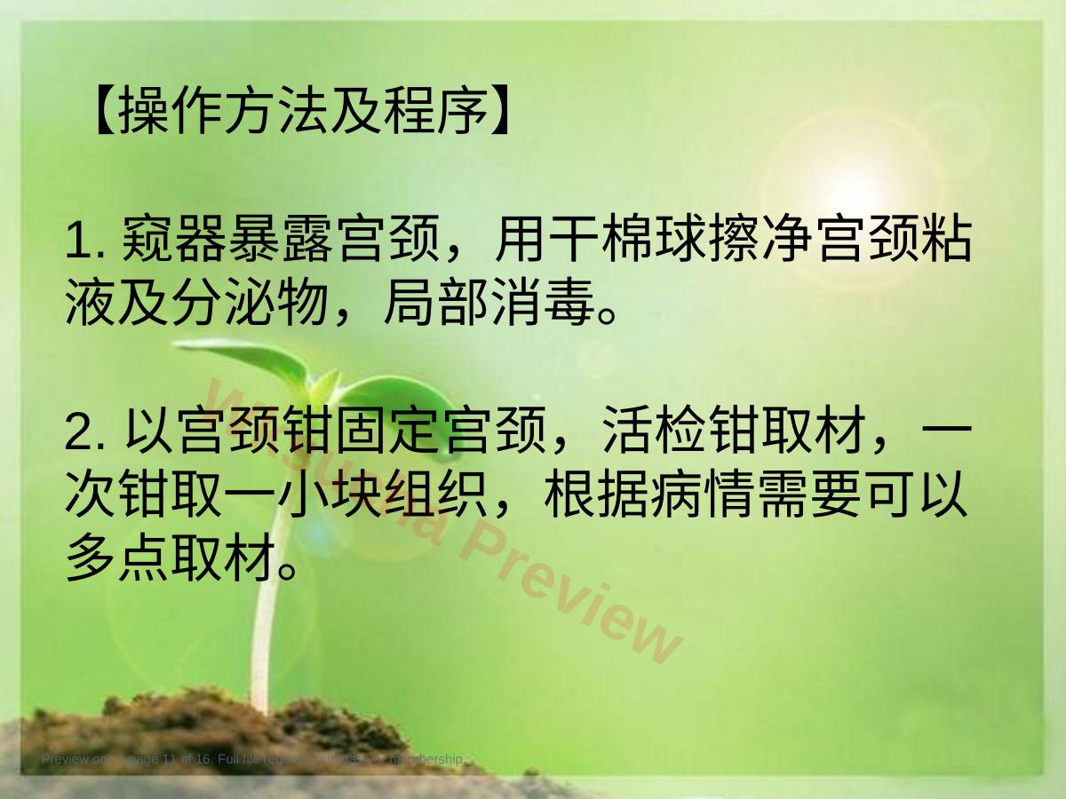 预览第 11 页