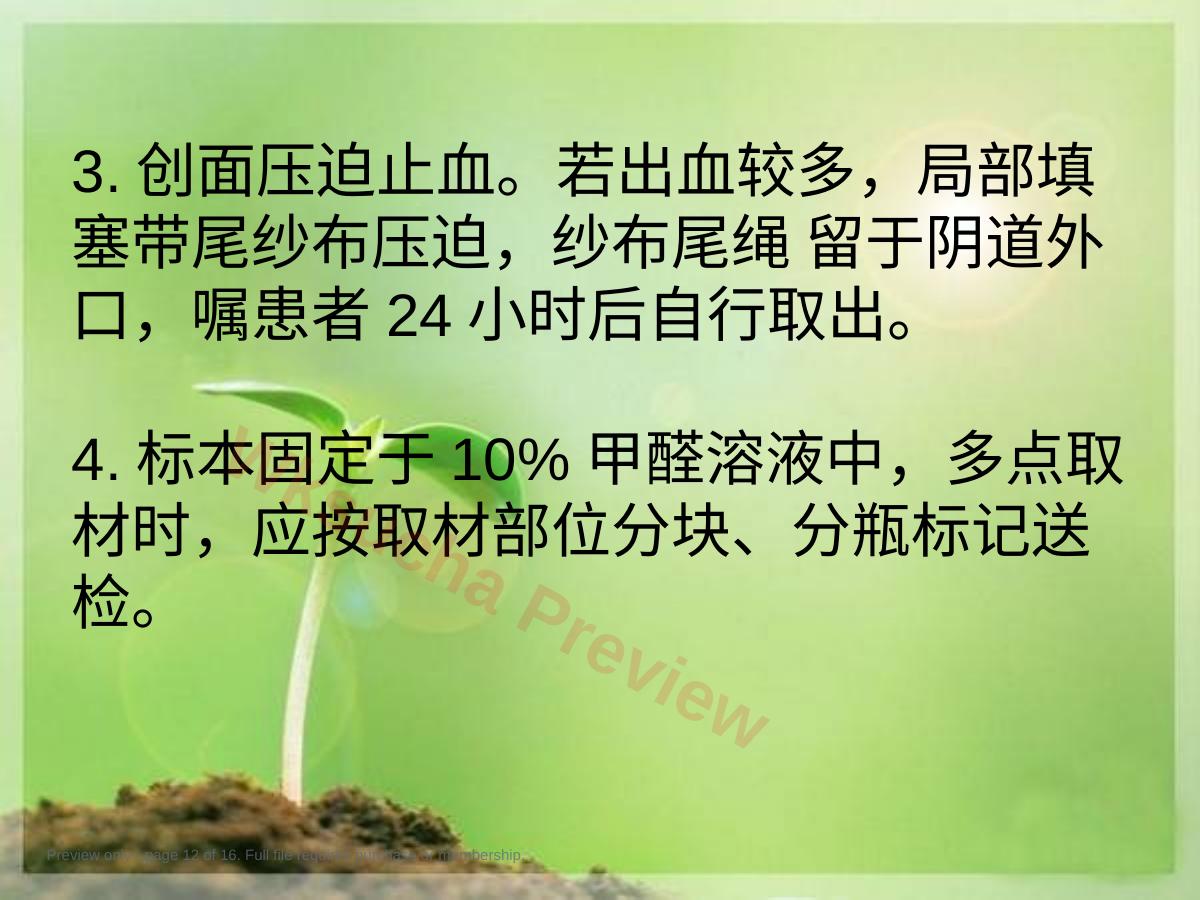 预览第 12 页