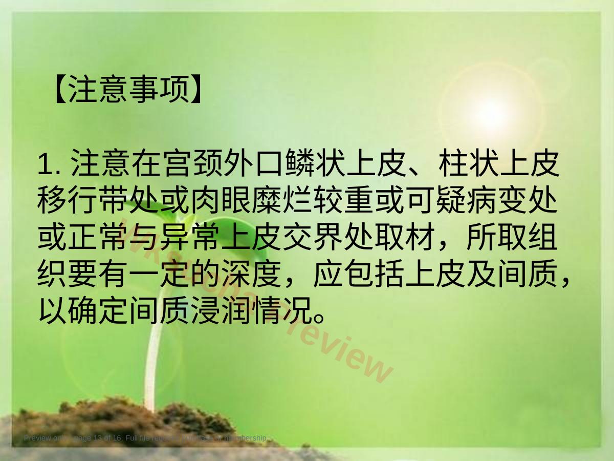 预览第 13 页