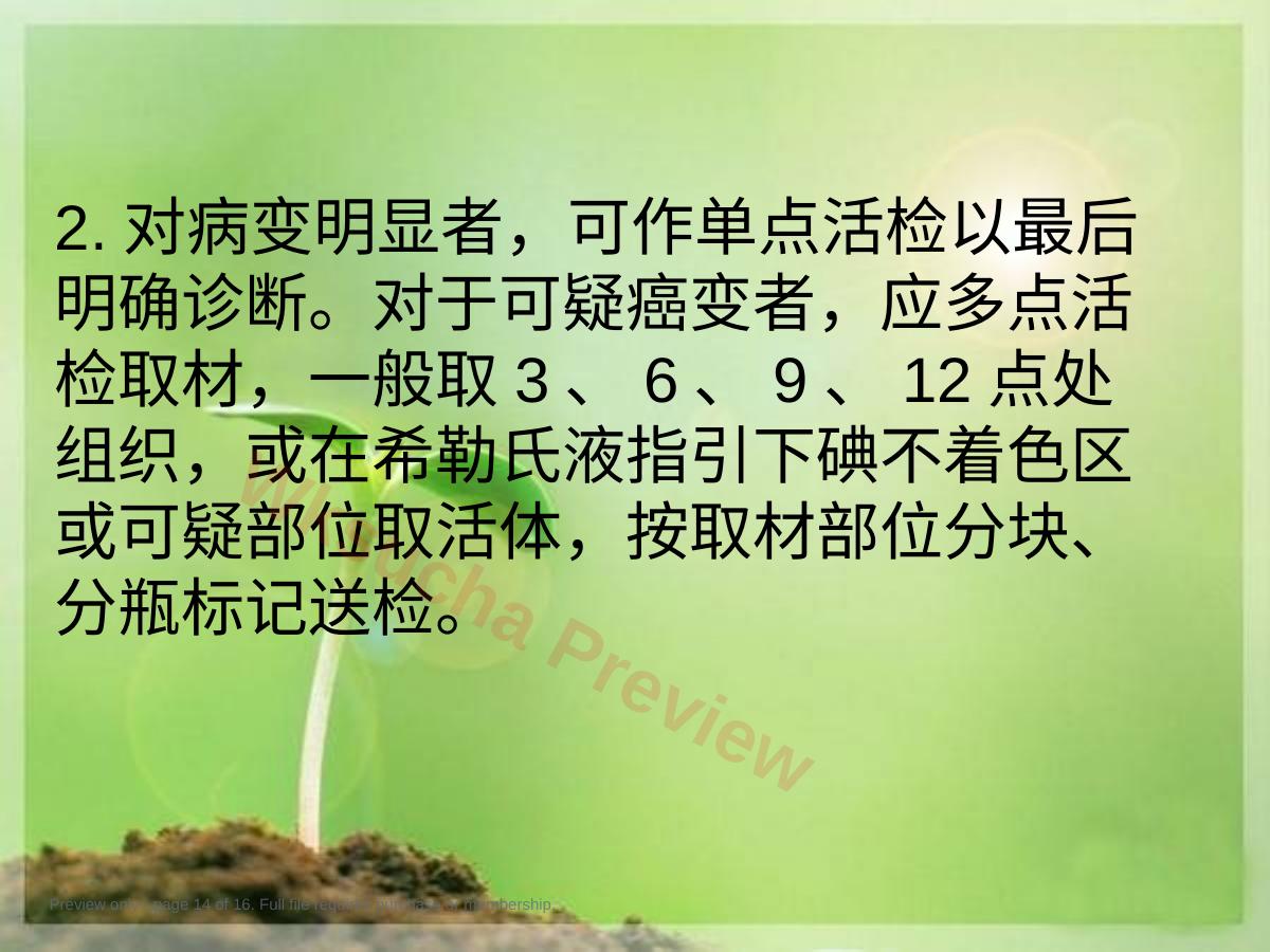 预览第 14 页