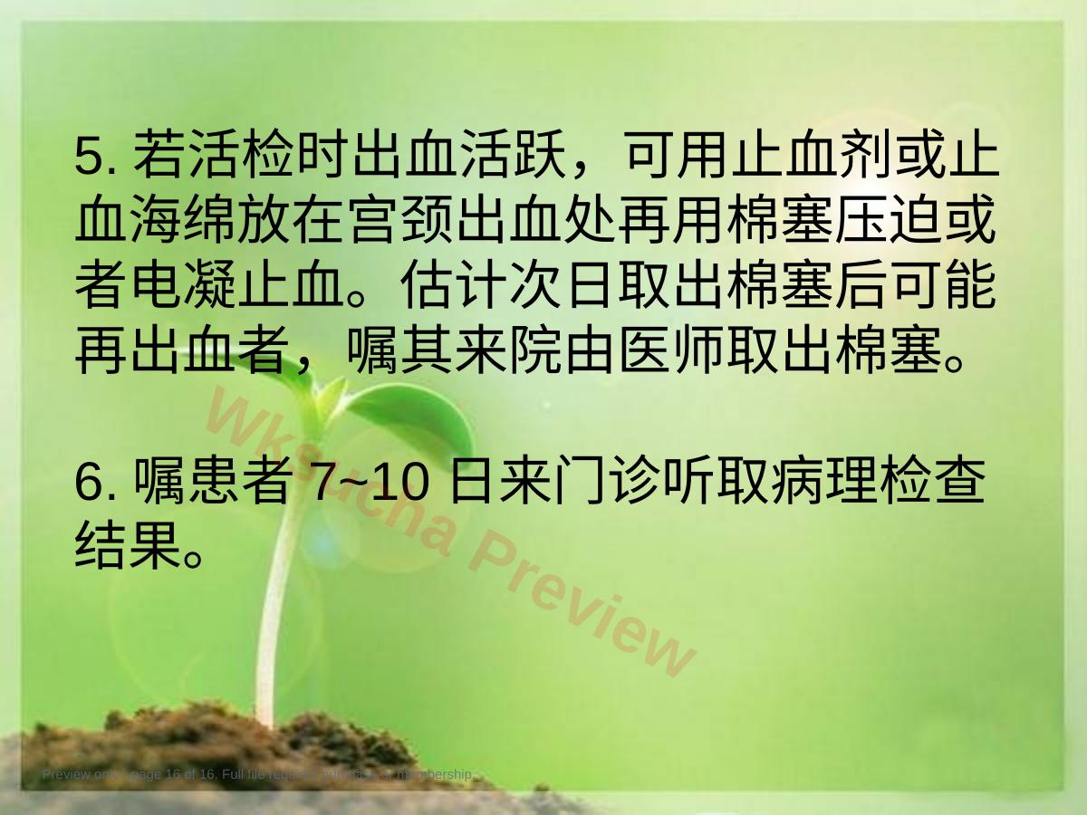 预览第 16 页