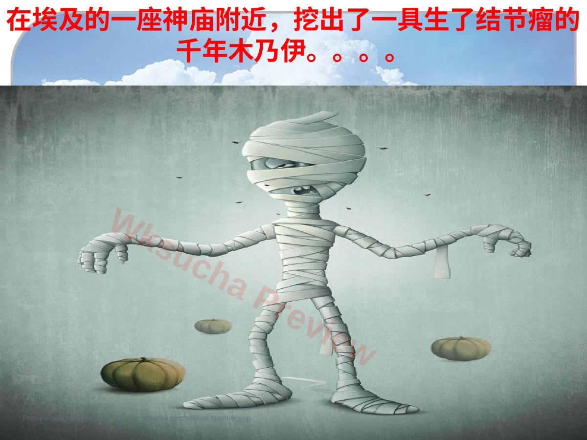 预览第 4 页