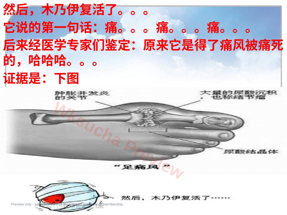 预览第 5 页