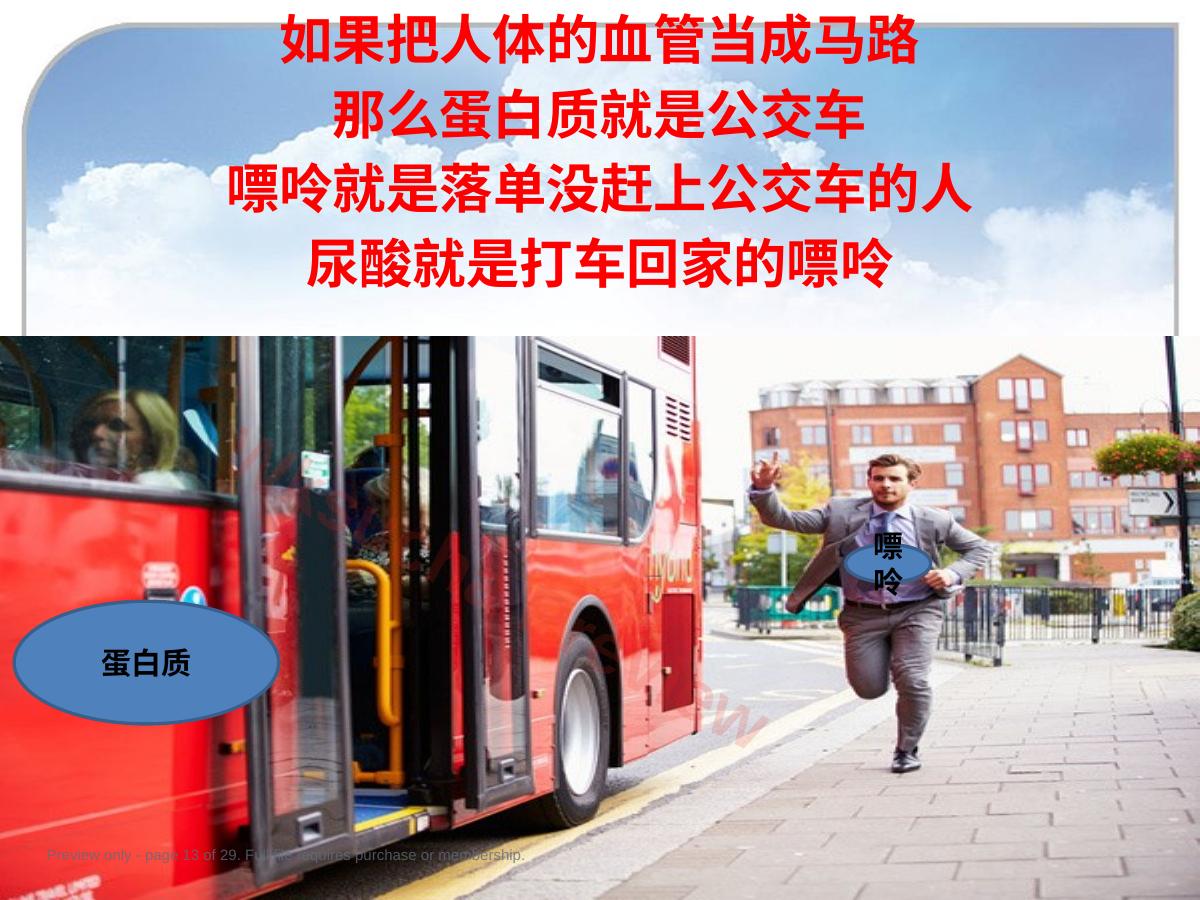 预览第 13 页