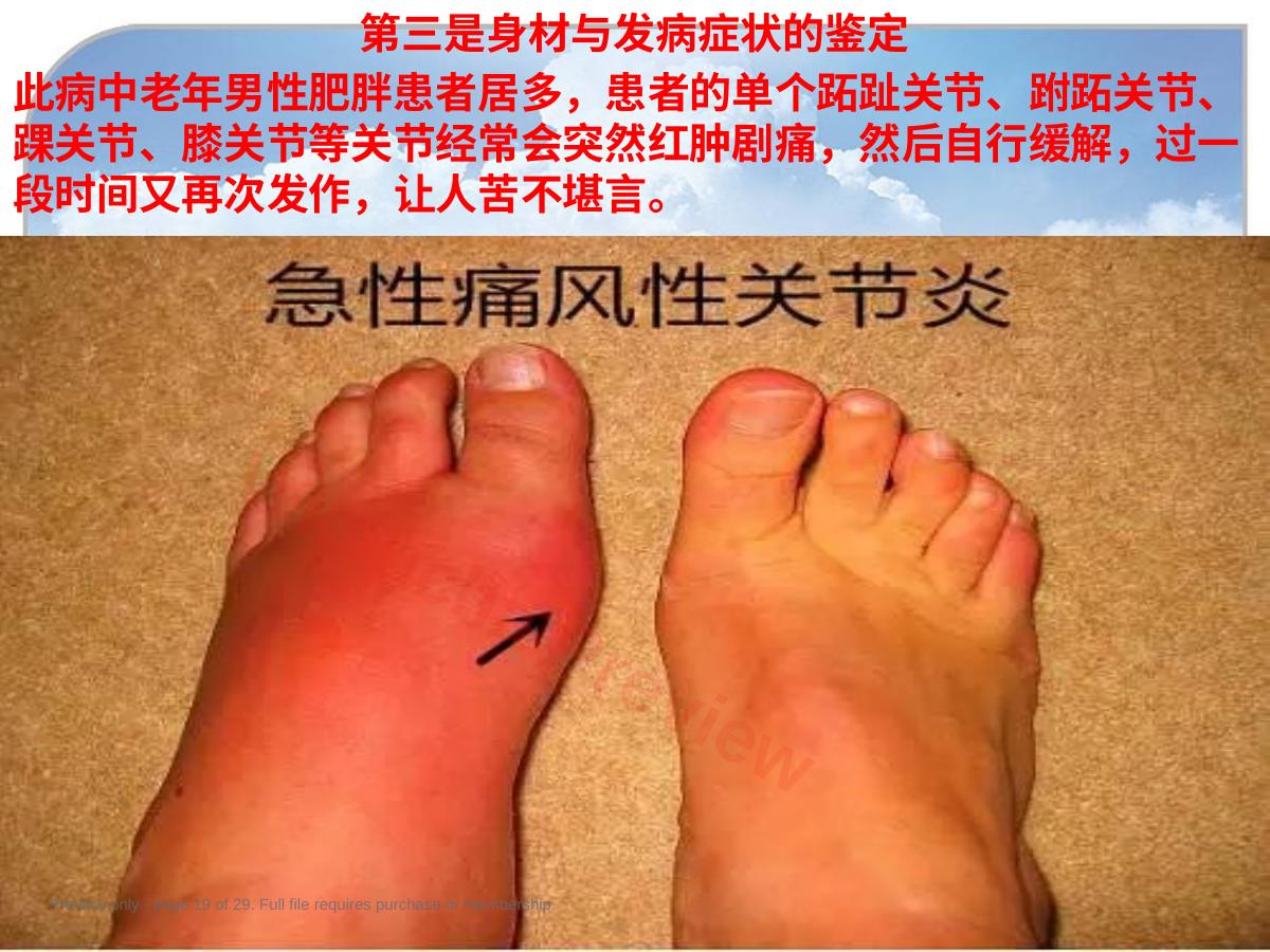 预览第 19 页
