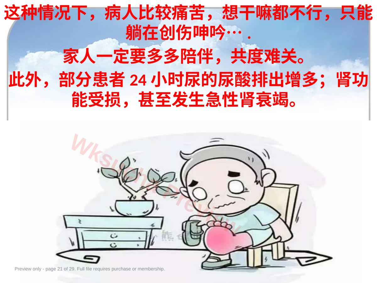 预览第 21 页