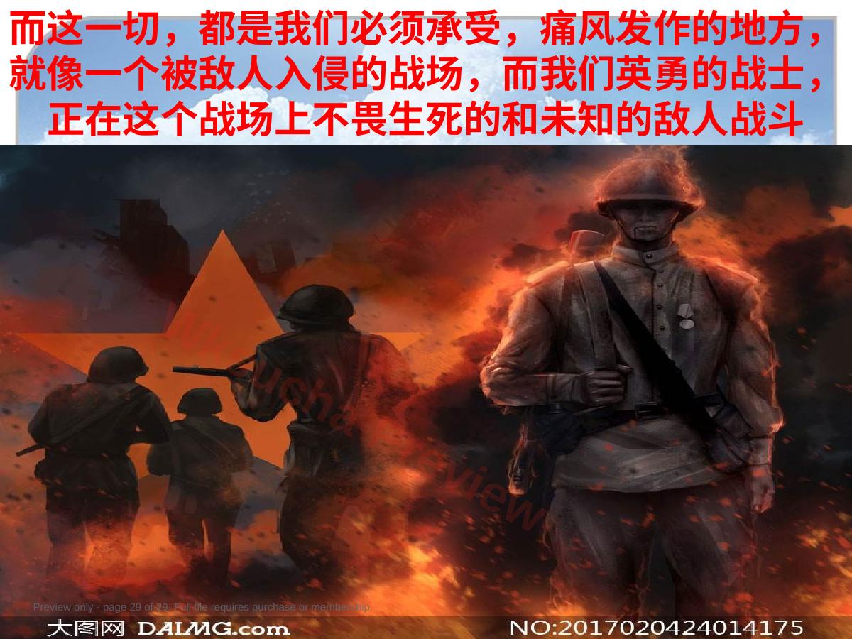 预览第 29 页
