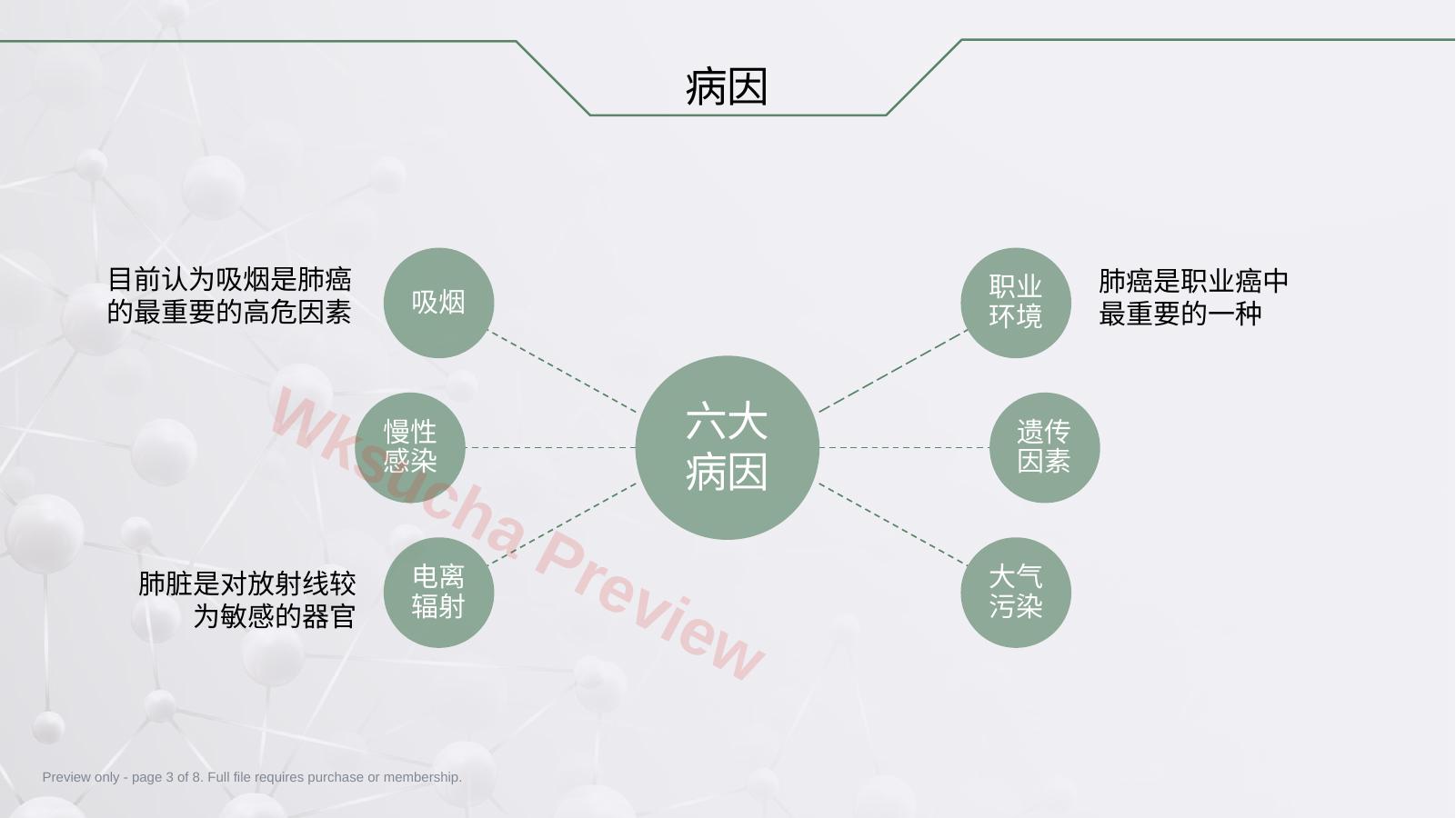 预览第 3 页