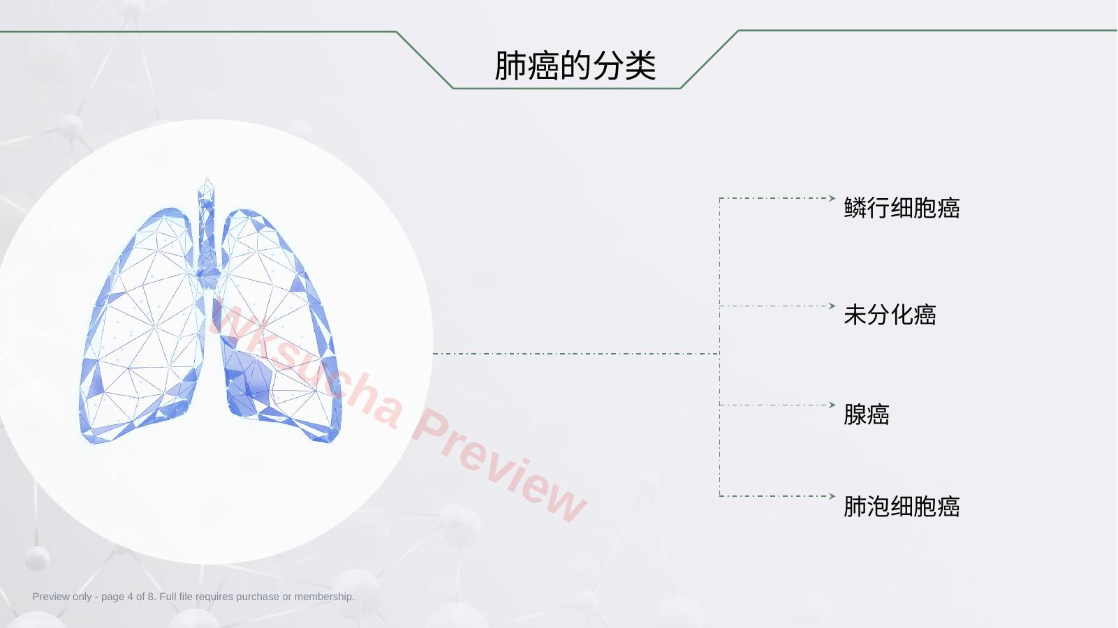 预览第 4 页