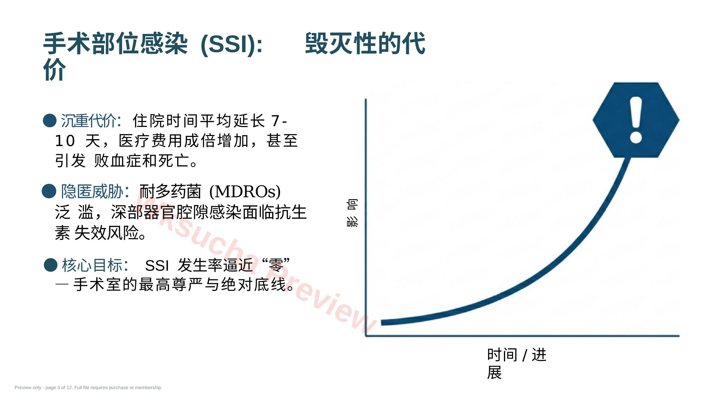 预览第 3 页