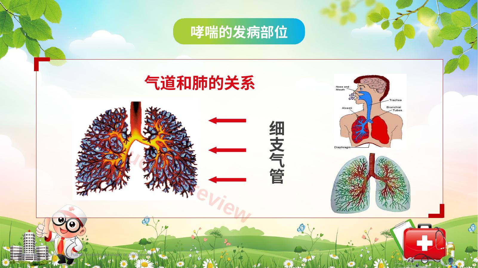 预览第 6 页