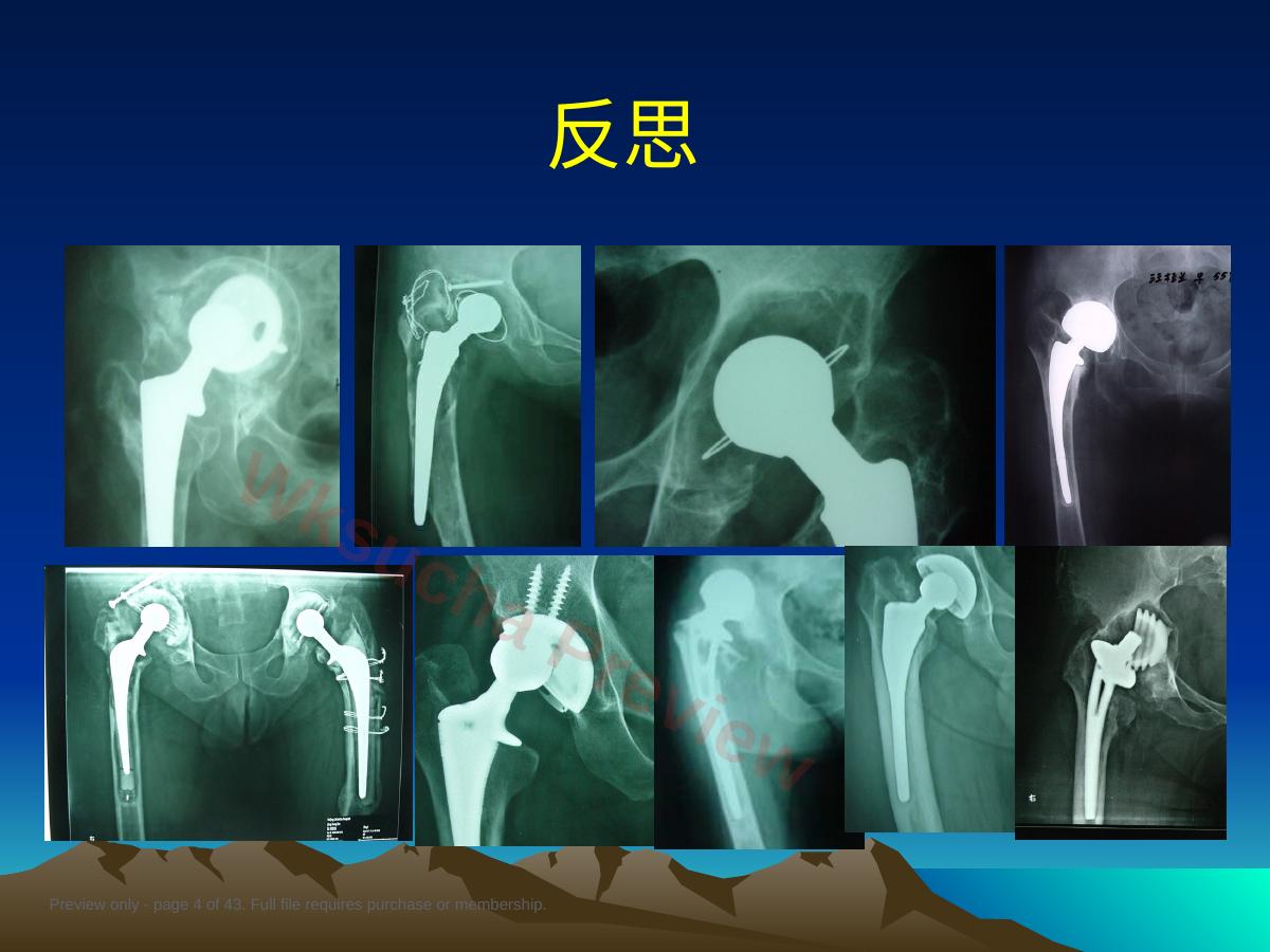 预览第 4 页