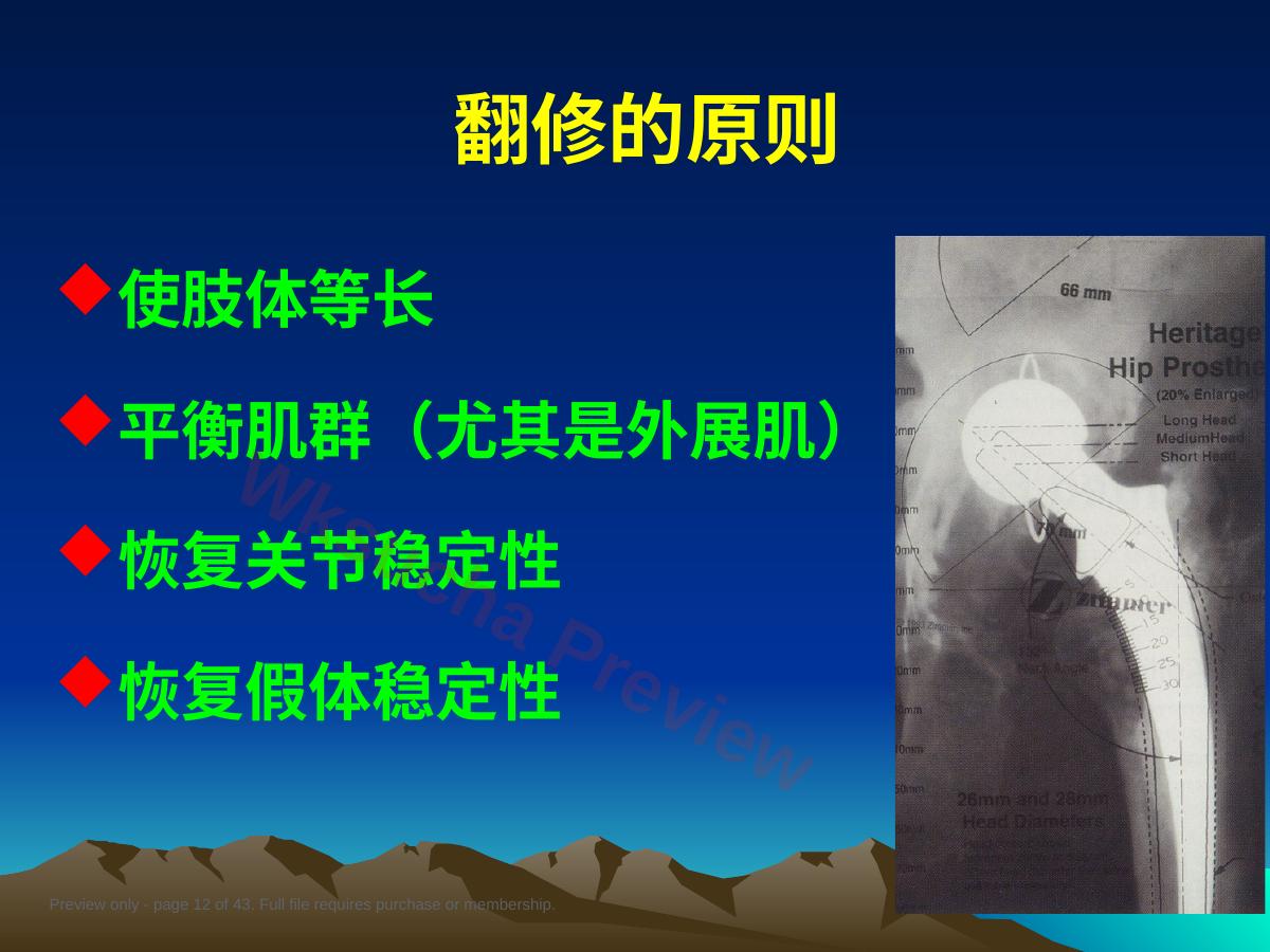 预览第 12 页