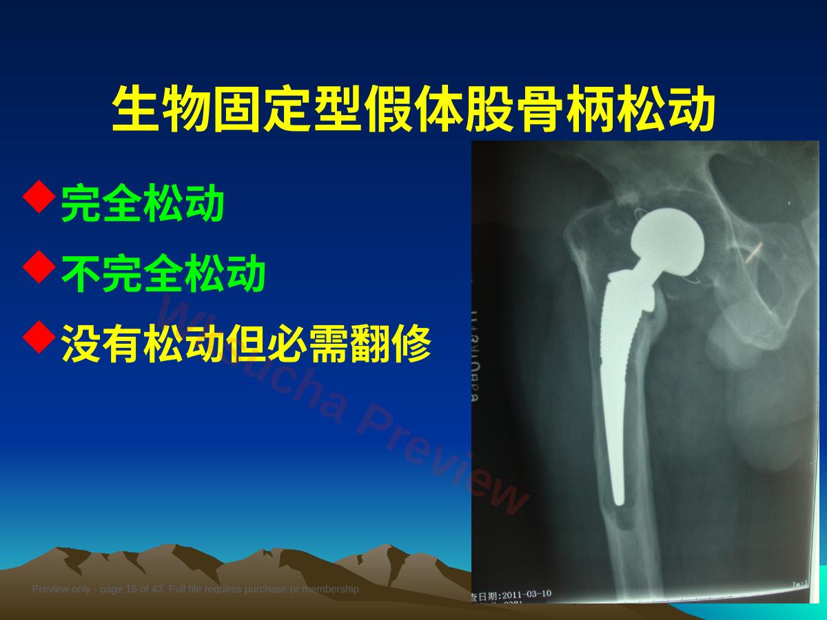 预览第 16 页