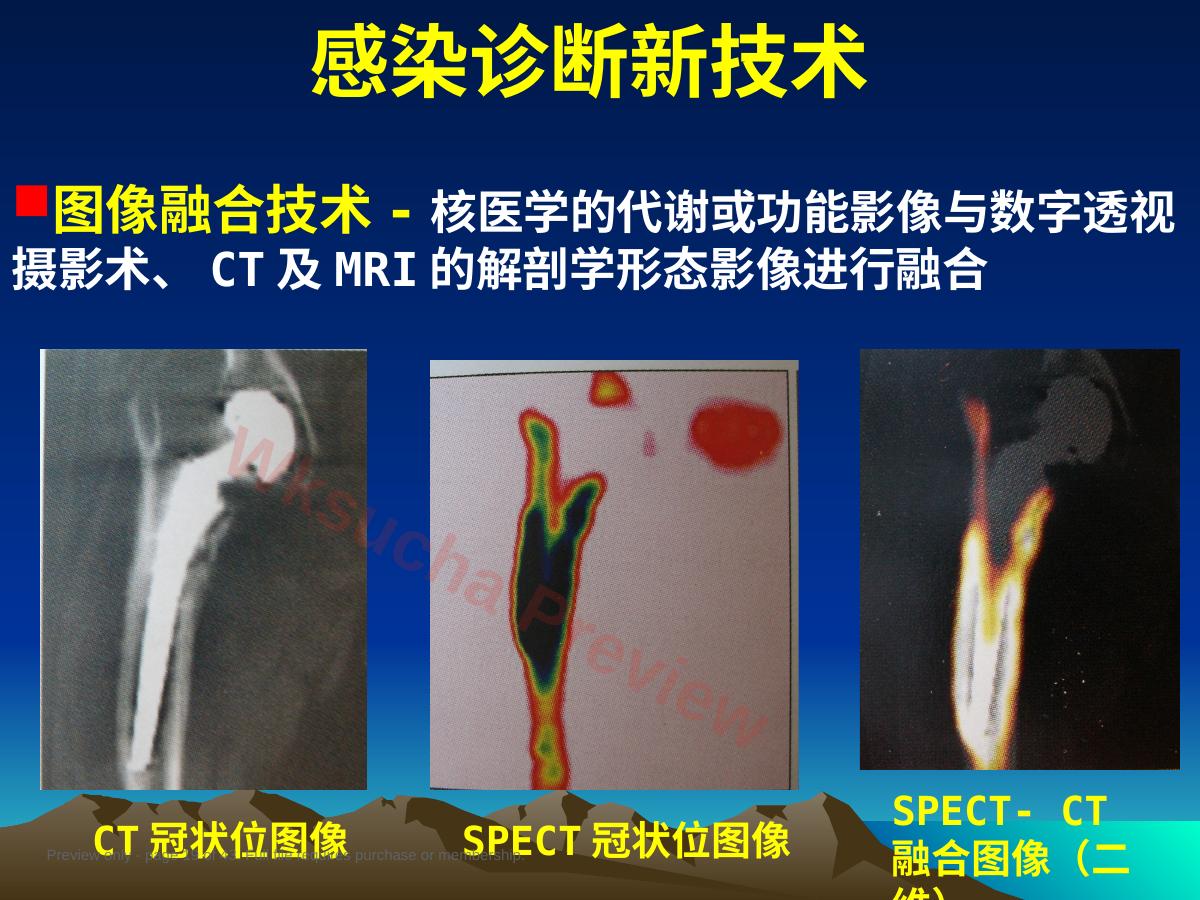 预览第 19 页
