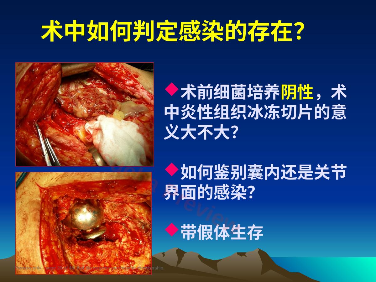 预览第 20 页