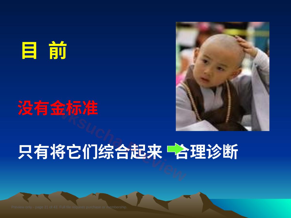 预览第 21 页