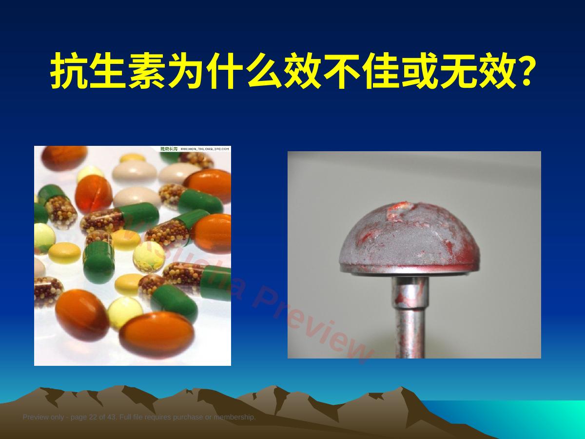 预览第 22 页