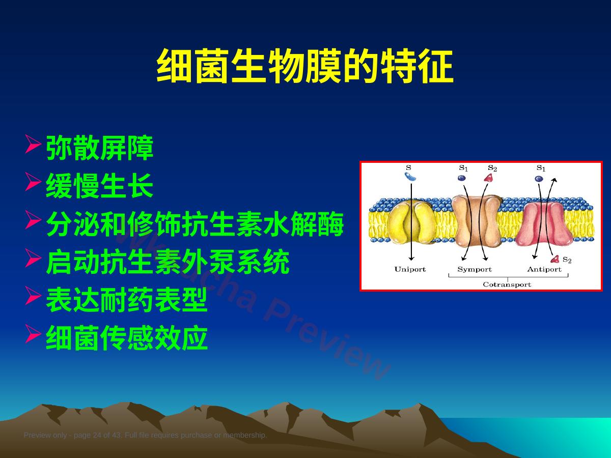 预览第 24 页