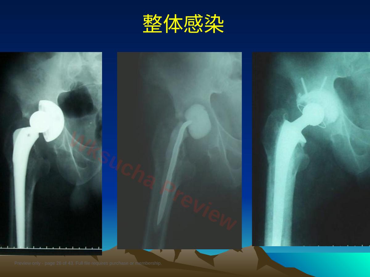 预览第 26 页