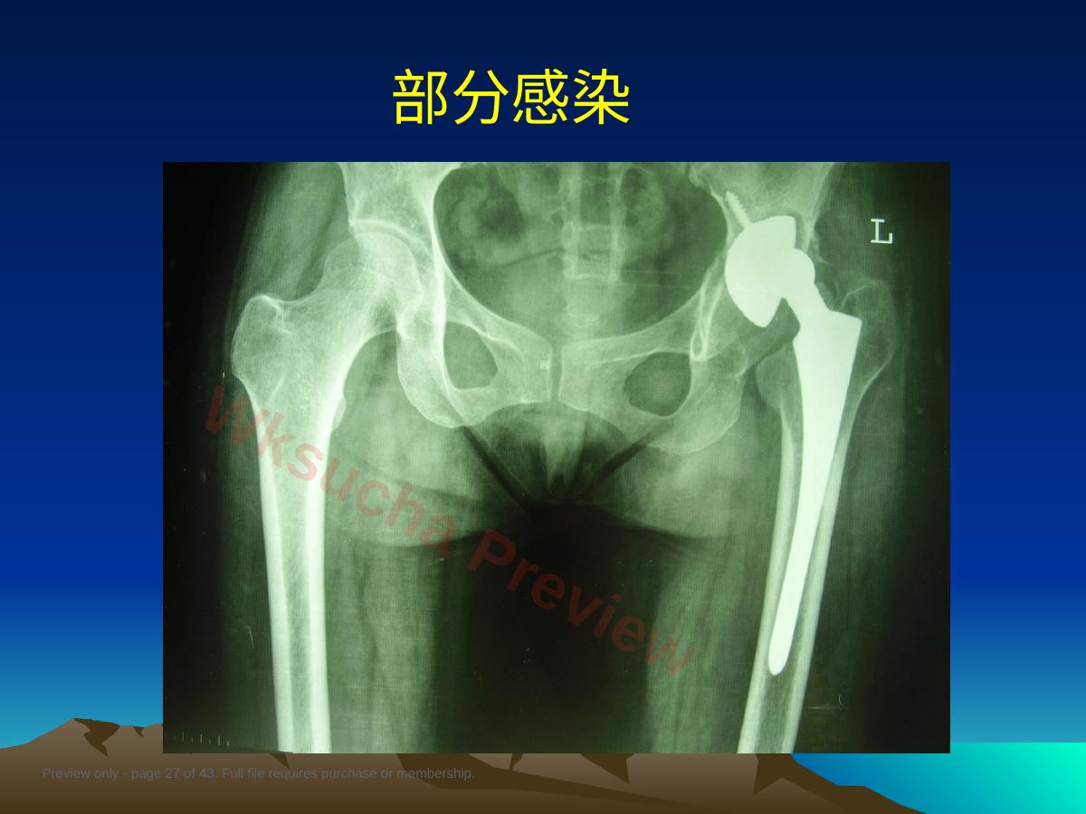 预览第 27 页