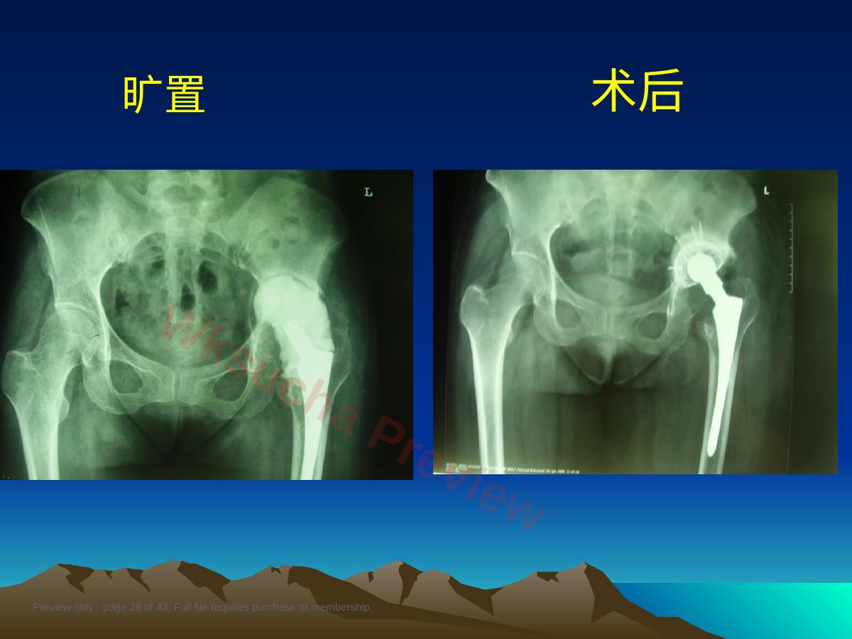 预览第 28 页