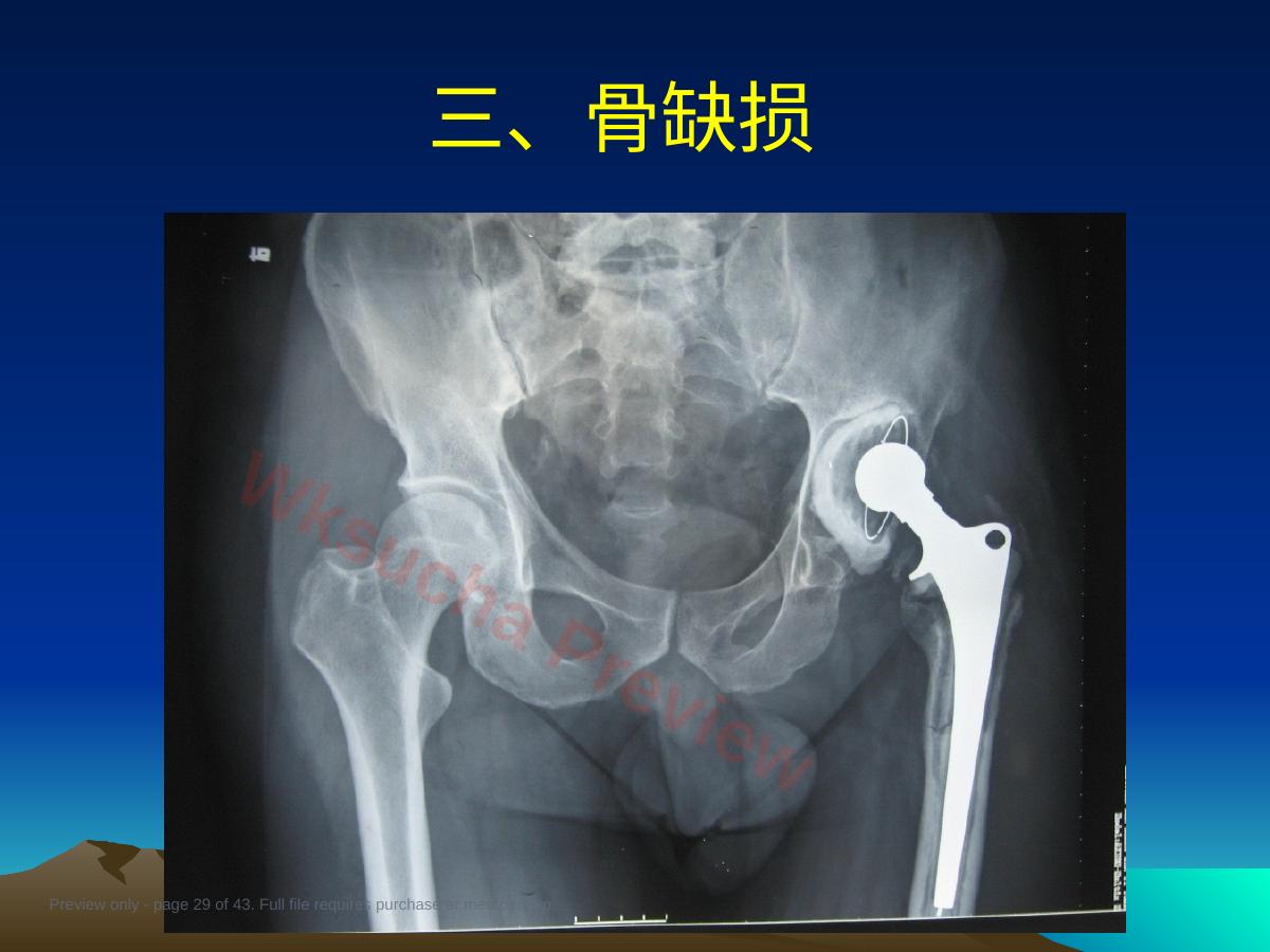 预览第 29 页