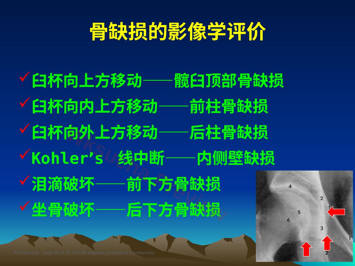 预览第 30 页