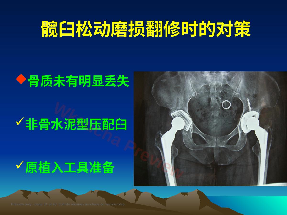 预览第 31 页