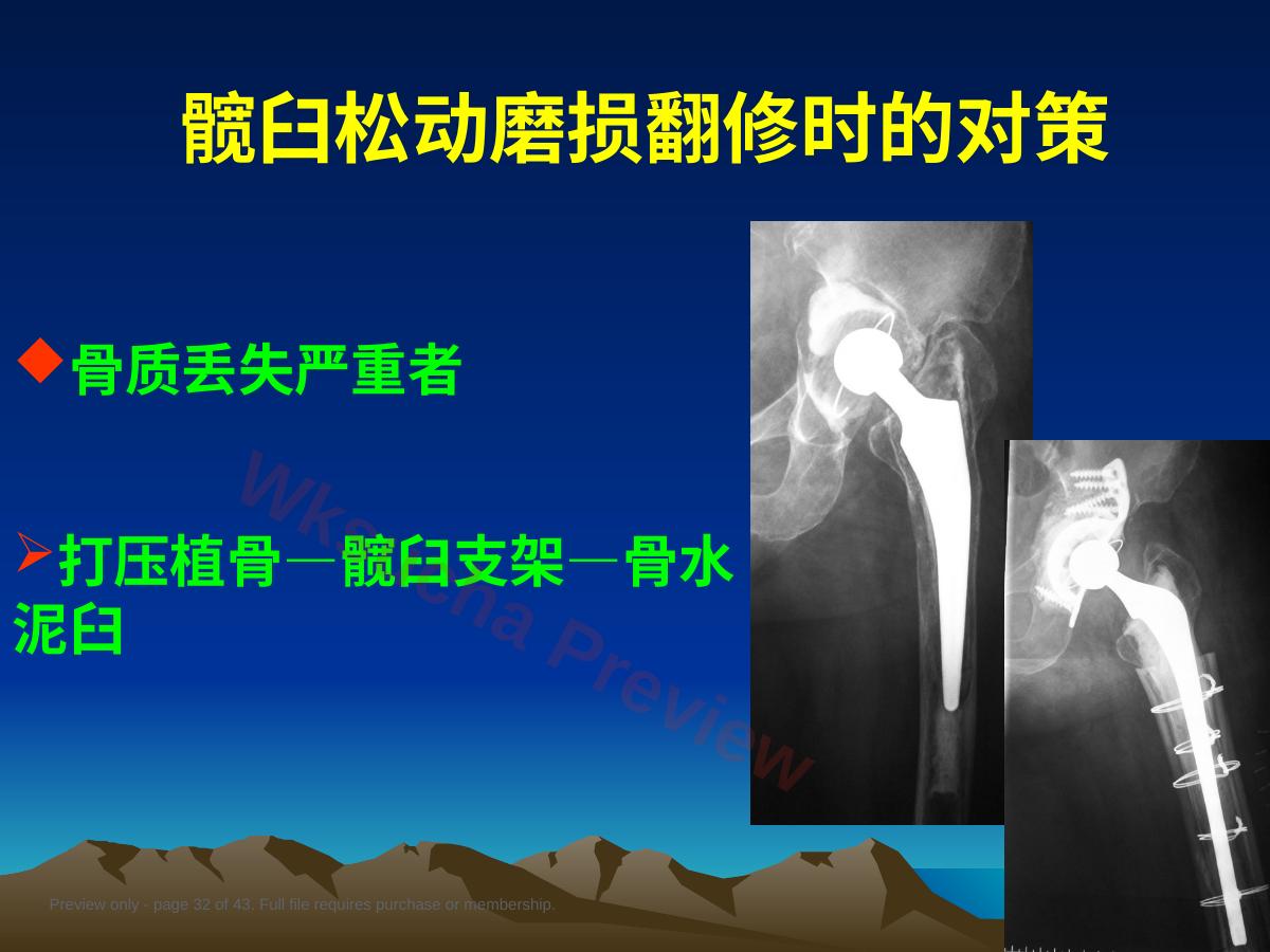 预览第 32 页