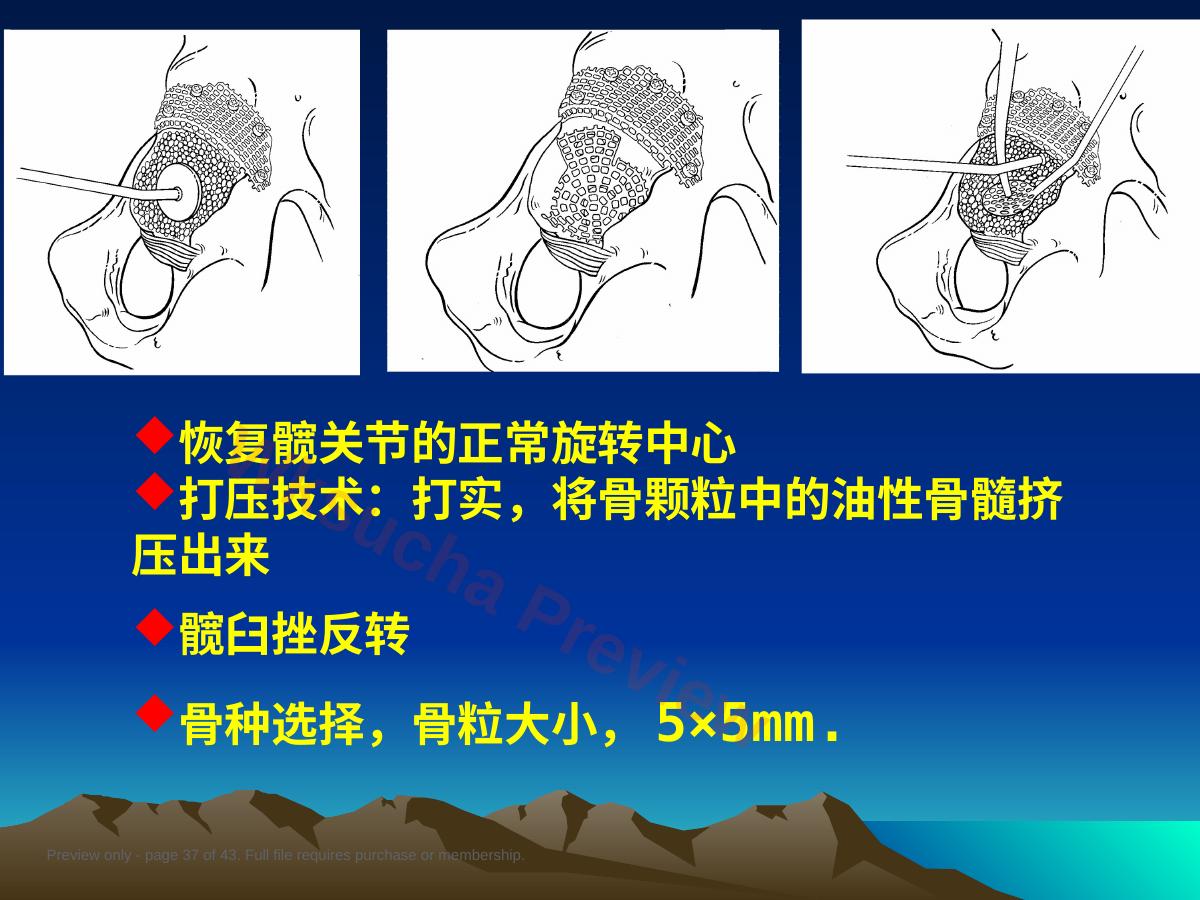 预览第 37 页