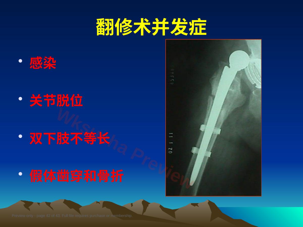 预览第 42 页