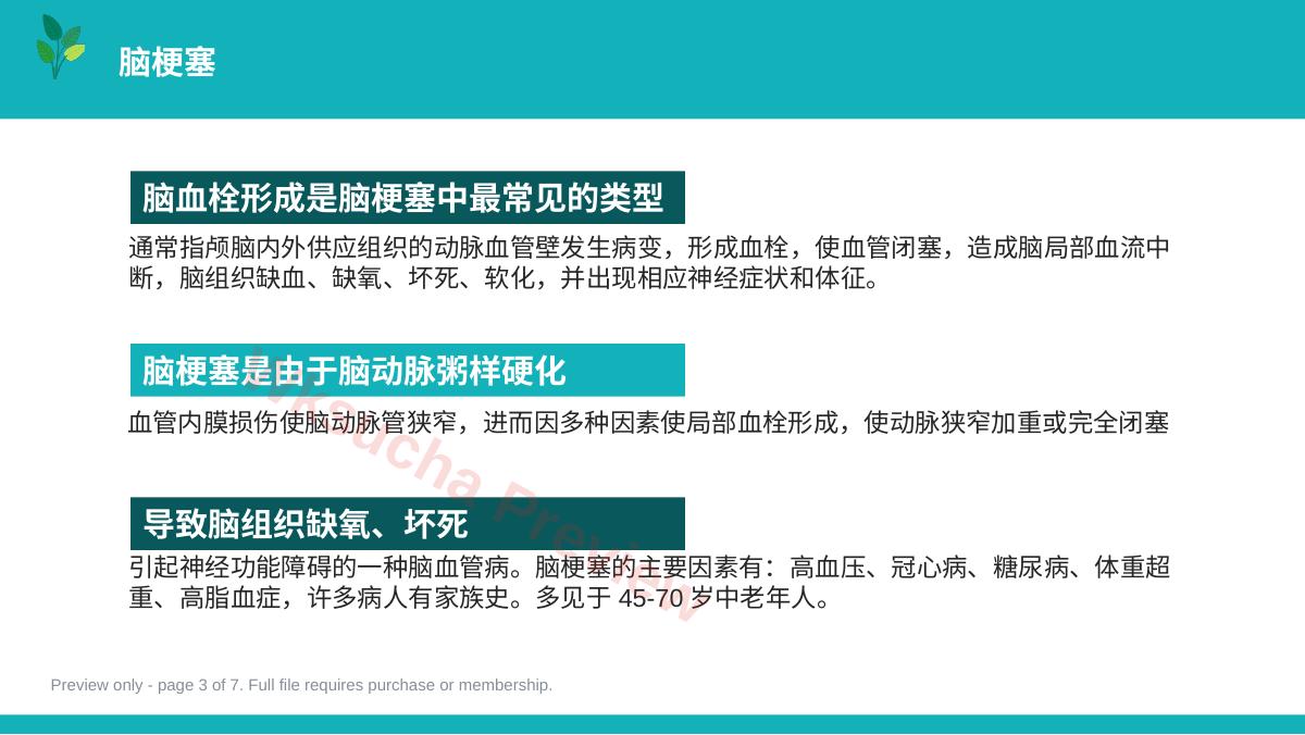 预览第 3 页