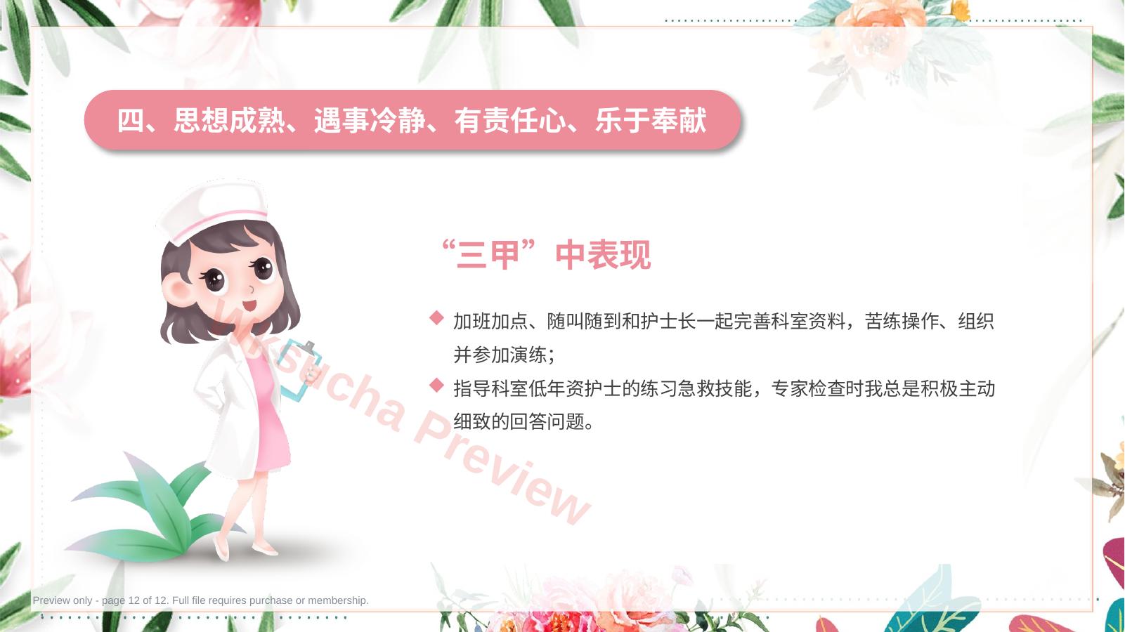预览第 12 页