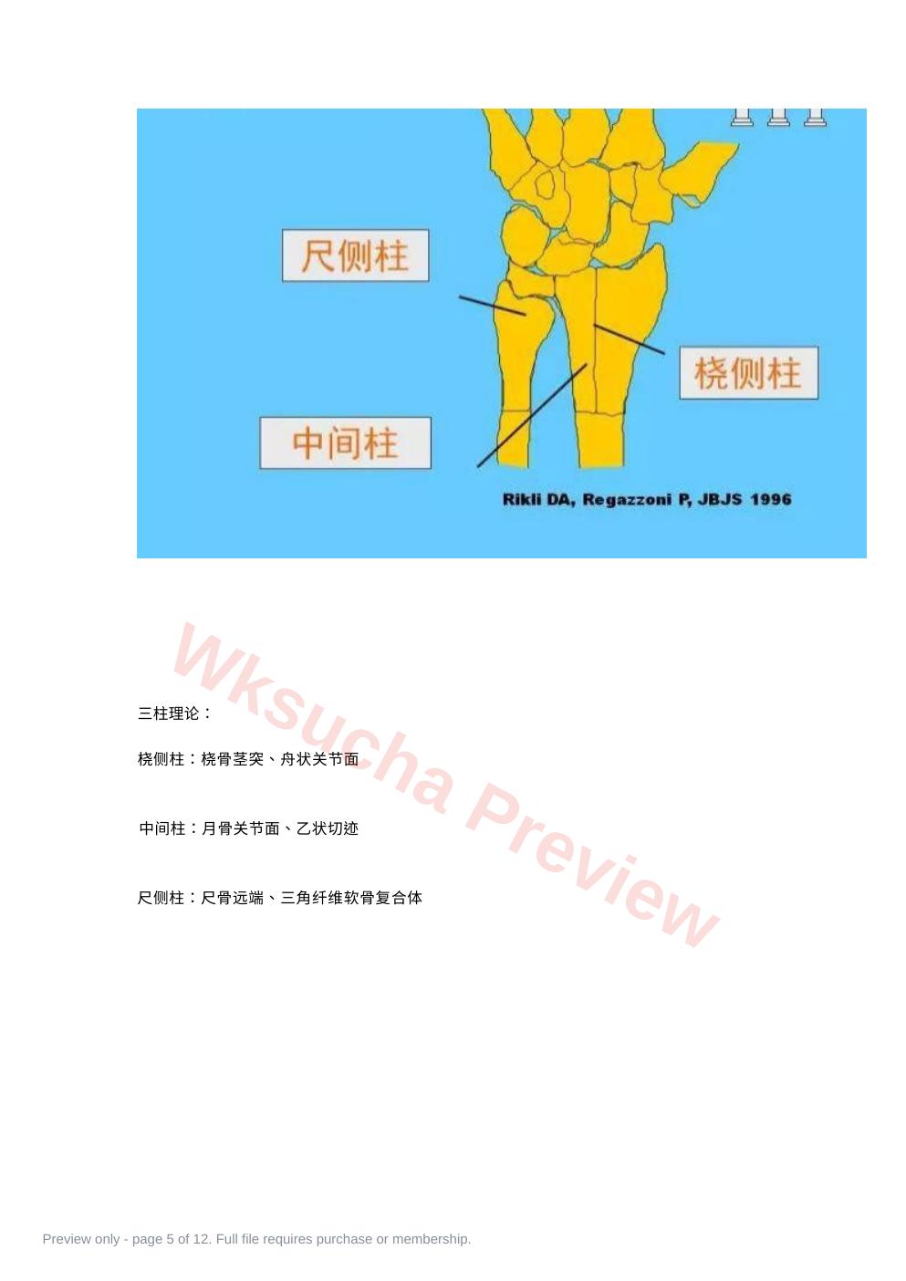 预览第 5 页
