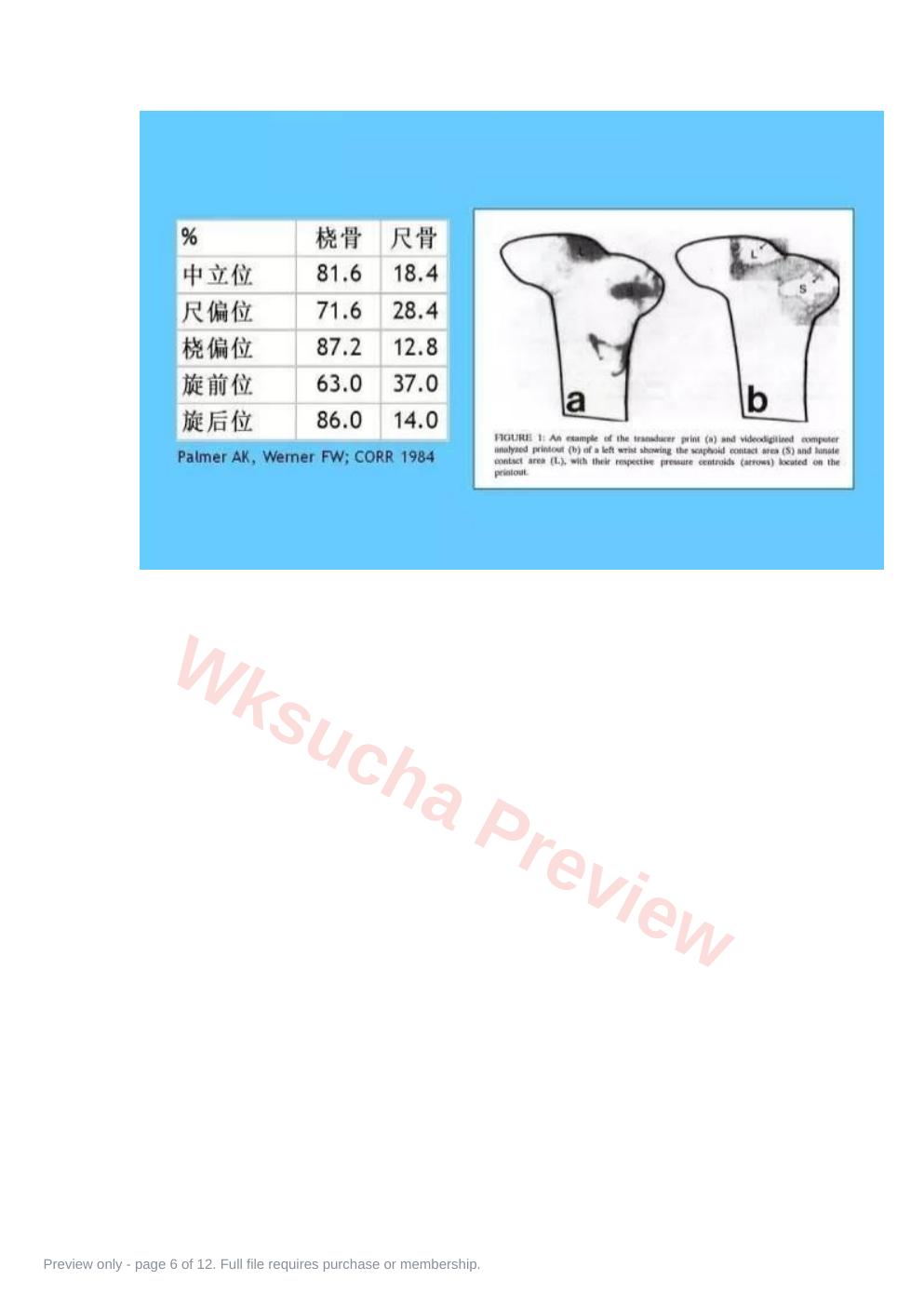 预览第 6 页