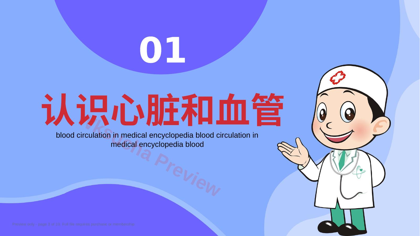 预览第 3 页