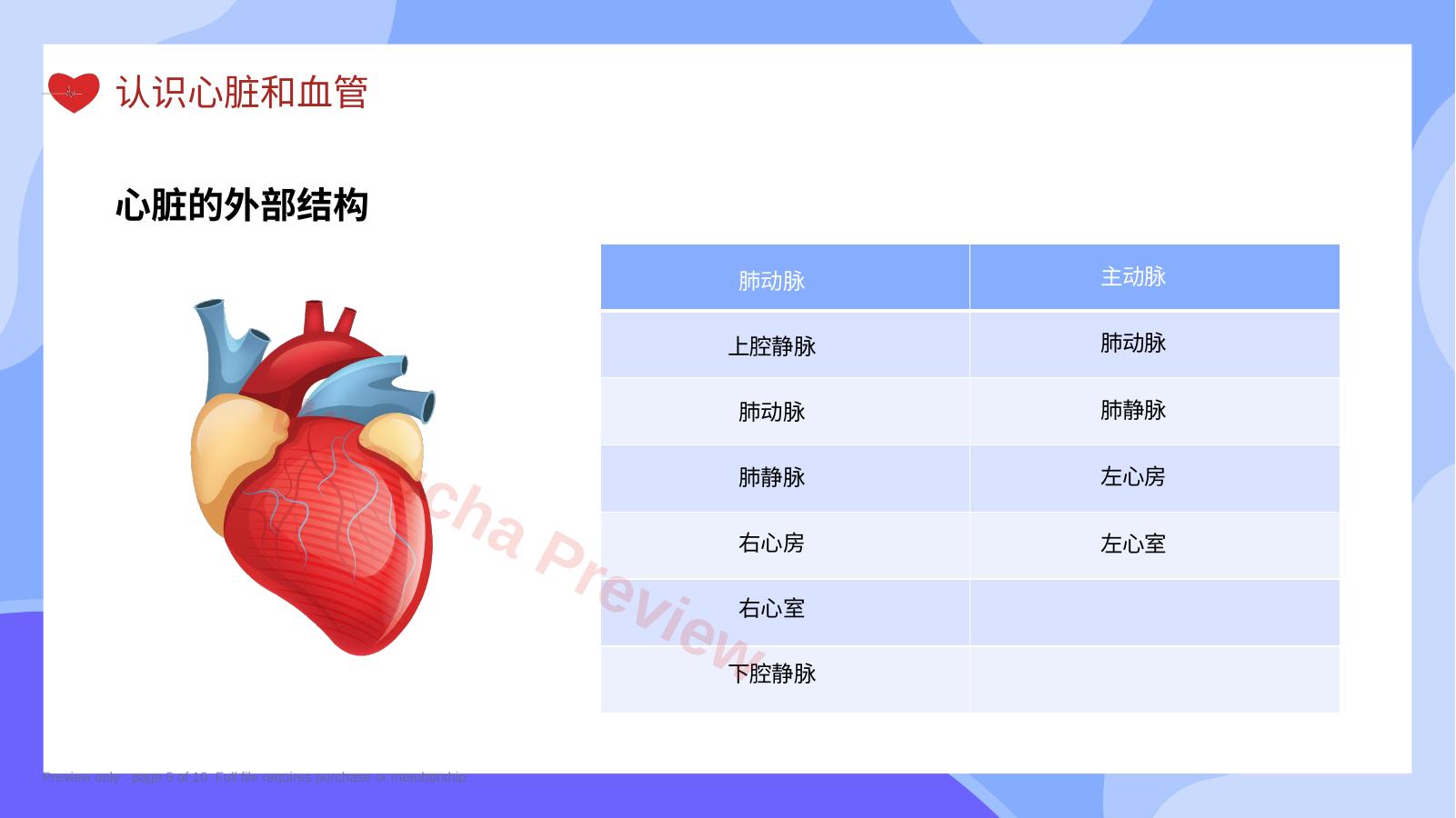 预览第 5 页