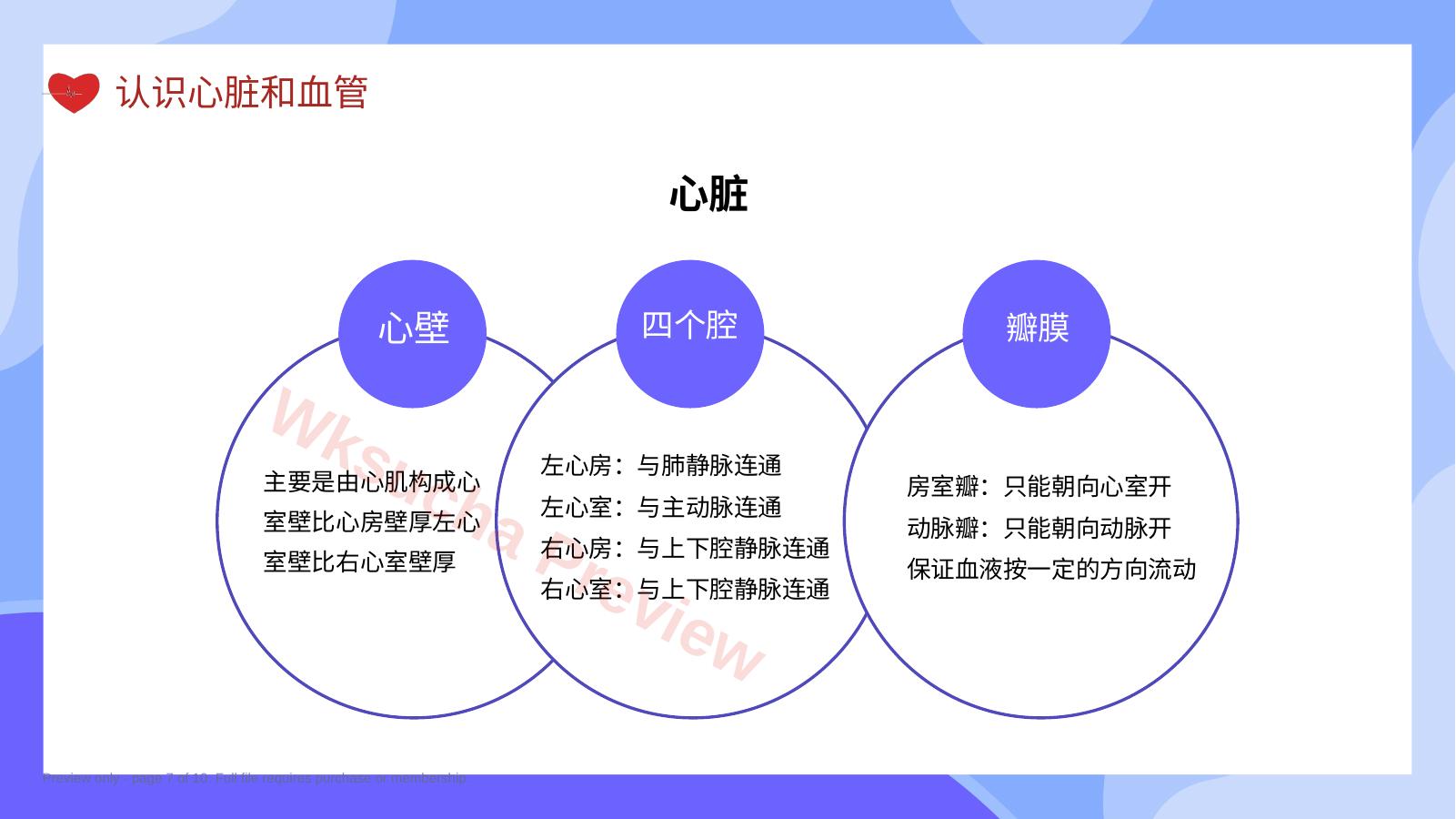 预览第 7 页