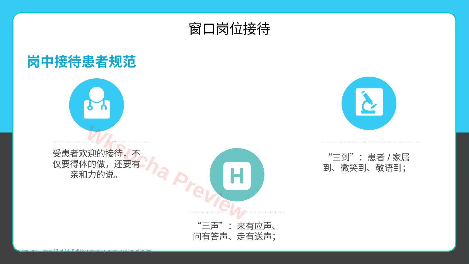 预览第 13 页