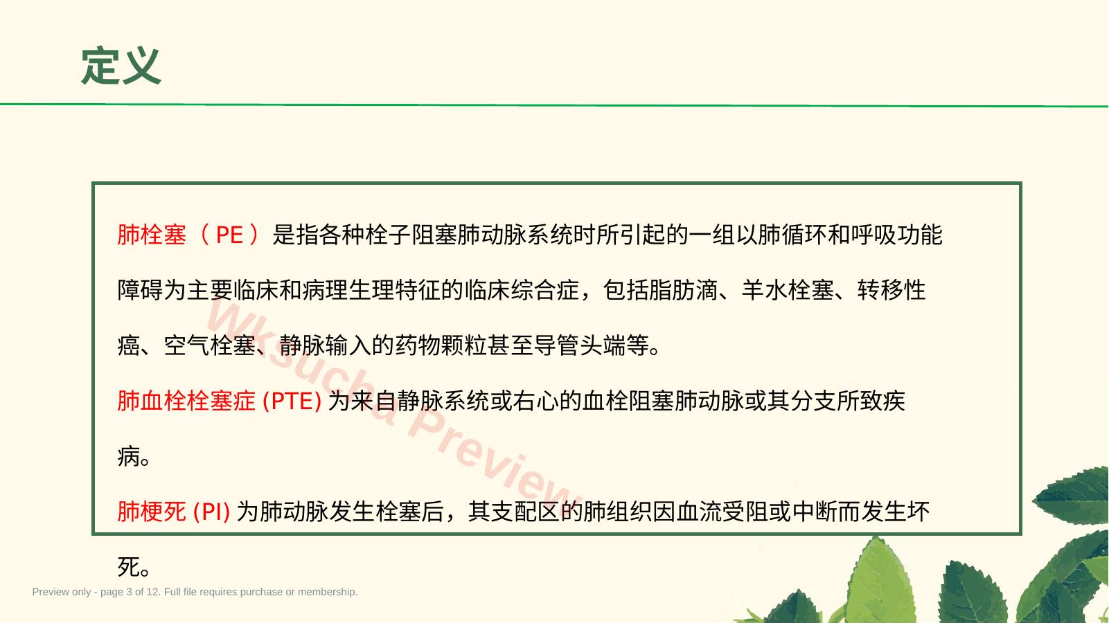 预览第 3 页